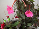 DSCF0715