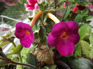 DSCF0718