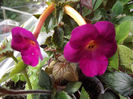 DSCF0719
