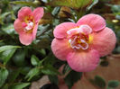 DSCF0726