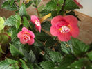 DSCF0847