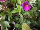 DSCF0849