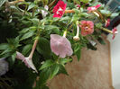 DSCF0857