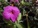 DSCF0892