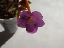 DSCF0907