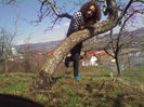 IMG_20130323_121713