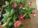 DSCF0818
