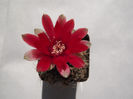 DSCF0895
