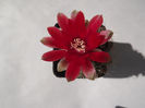 DSCF0898