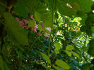 DSCN8142