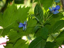 DSCN8175