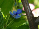 DSCN8177