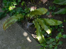DSCN8185
