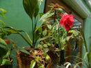 DSCN8190