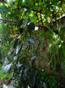 DSCN8194