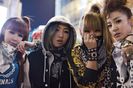 2Ne1Addidas