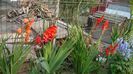 Picture 6051