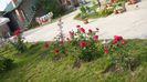 Picture 5686