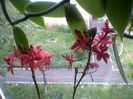 Photo-0109