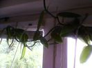 Photo-0113