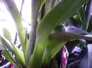 Photo-0115