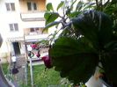 Photo-0225