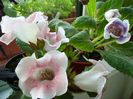PICT0057