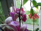Photo-0110
