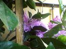 Photo-0140