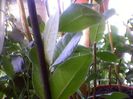 Photo-0215