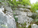 DSCN6239