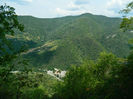 DSCN6241