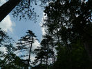 DSCN6249