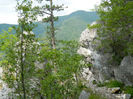 DSCN6262