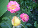 DSCN3255[1]