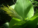 DSCN3258[1]