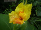 DSCN3282[1]