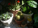 DSCN3262[1]