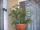 DSCN3268[1]