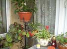 DSCN3267[1]
