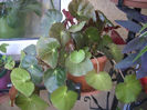 DSCN3269[1]