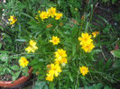 DSCF2267