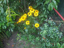 DSCF2283