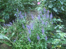 DSCF2288