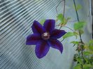 DSC04825
