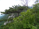 DSCN6283