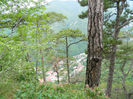 DSCN6288