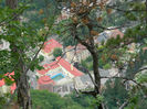 DSCN6289