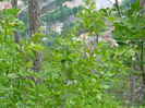 DSCN6304