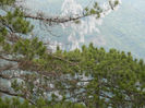 DSCN6305
